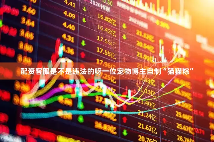 配资客服是不是违法的呀一位宠物博主自制“猫猫粽”
