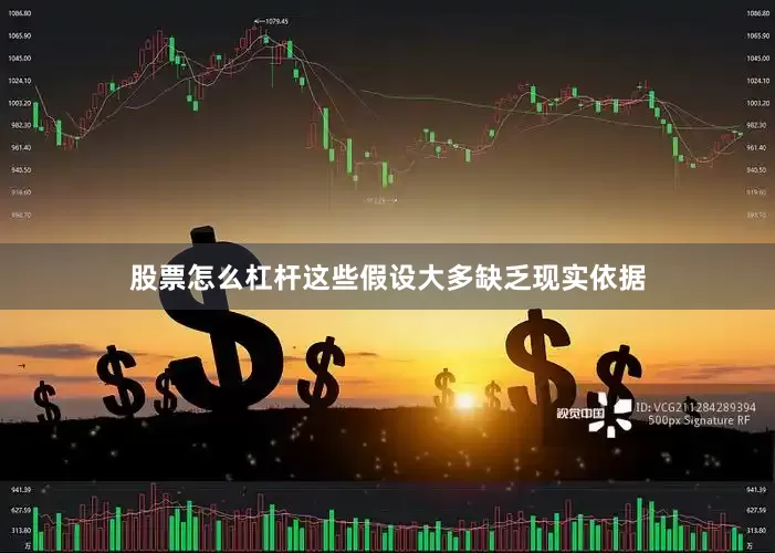 股票怎么杠杆这些假设大多缺乏现实依据