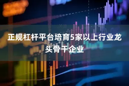 正规杠杆平台培育5家以上行业龙头骨干企业