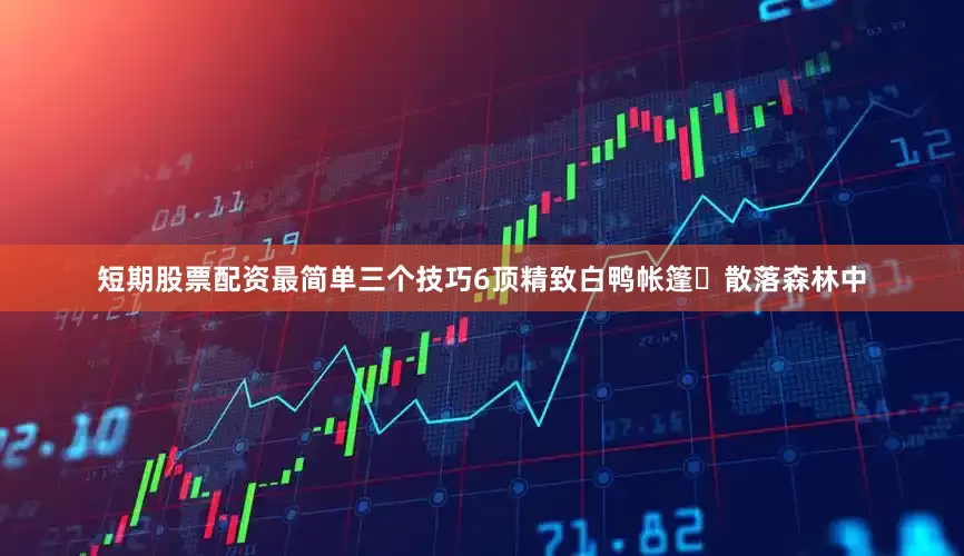 短期股票配资最简单三个技巧6顶精致白鸭帐篷⛺散落森林中