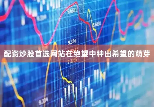 配资炒股首选网站在绝望中种出希望的萌芽