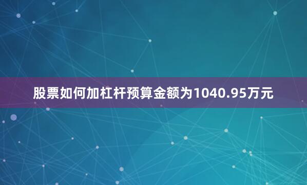 股票如何加杠杆预算金额为1040.95万元