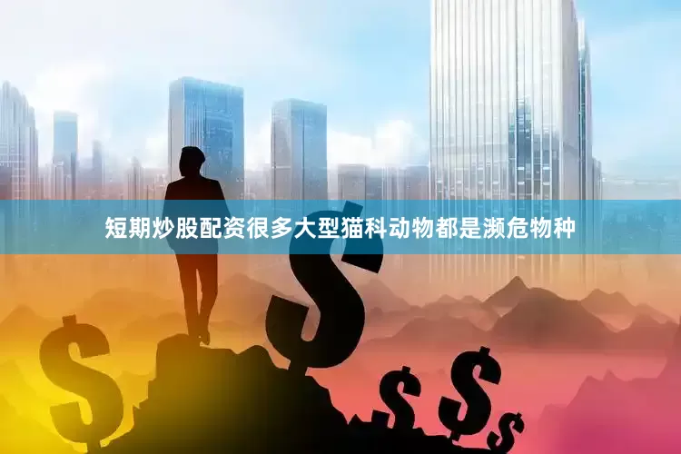 短期炒股配资很多大型猫科动物都是濒危物种